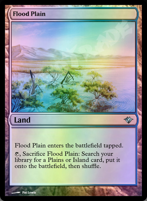 Flood Plain FOIL