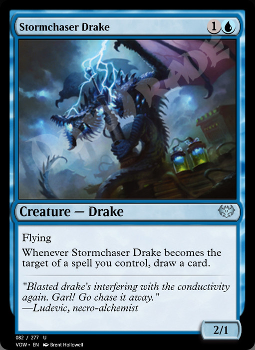 Stormchaser Drake