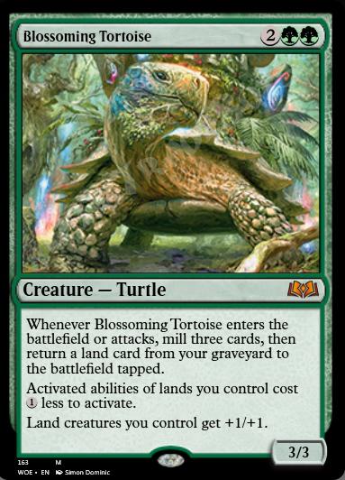 Blossoming Tortoise