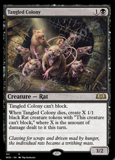 Tangled Colony