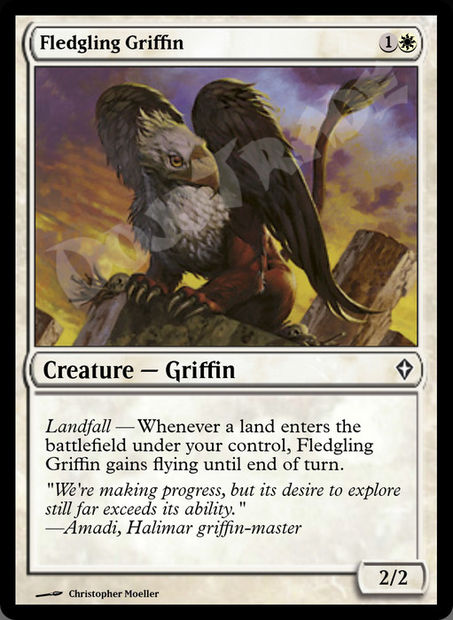 Fledgling Griffin