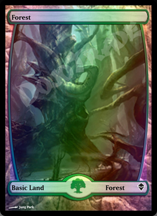 Forest (#247 Full Art) FOIL