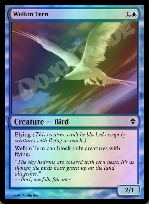 Welkin Tern FOIL